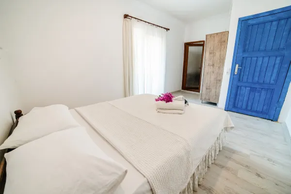 يوكاليبتس بينشن الغرف Photos