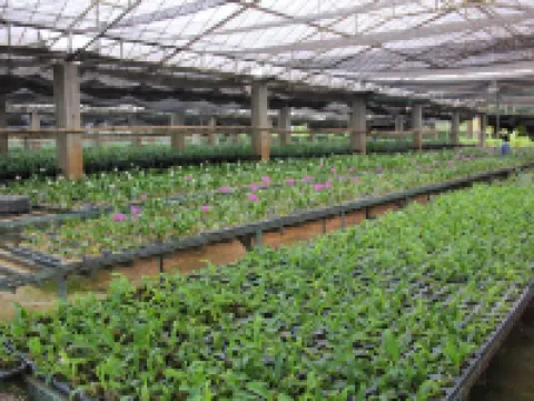 ภูผาน้ำ รีสอร์ท โรงแรมในอำเภอ ด่านซ้าย