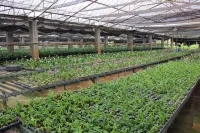 Phu Pha Nam Resort Hotels in Dan Sai