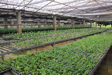 รูปภาพของภูผาน้ำ รีสอร์ท แอนด์ สปา