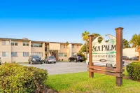Sea Palms 5C