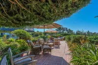 Tranquil Tuckaway w/ Ocean/Pt Lobos views,1200sqft patio, firepit, pet friendly!