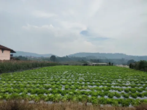 Villa Lembang Bunda