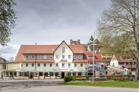 Hotel Rössle Berneck Отели в г. Эбхаузен