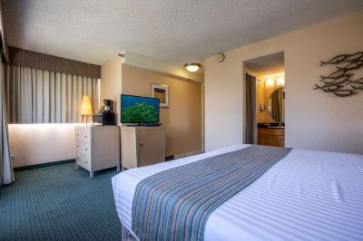 スーペリアルーム(バルコニー付) アクア アロハ サーフ ワイキキ ホテルの写真