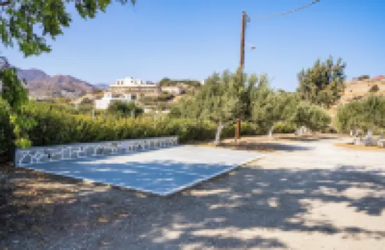 Olive Studios