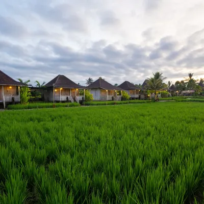 Uma Sebatu Villa Hotels near Mason Elephant Park