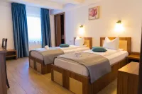 Pensiunea Transilvania Hotels in Avrig