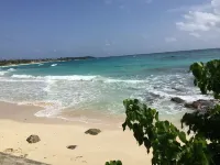 Villa Rasta Hôtels à : Long Bay