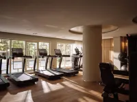The Danai - Gym