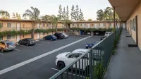 Anaheim Islander Inn and Suites - Motels