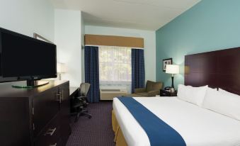 Holiday Inn Express & Suites Plant City