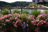 Chateau de Creissels Hotels in Saint-Affrique