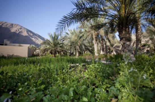 施設外観 シックス センシズ ジギー ベイの写真