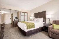 Comfort Inn & Suites Hotels in Sylvan Lake