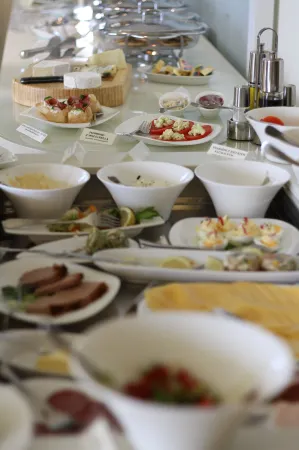 Hotel Court Wellness&Spa Отели в г. Кендзежин-Козле