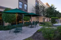 Hampton Inn San Antonio Stone Oak Hotels in Stone Oak