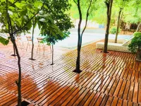 AliKele Hotel & Resort Hotels in Dambulla
