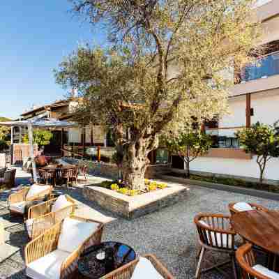 Ayia Marina Suites Hotel Exterior