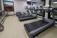 Hampton Inn by Hilton Chihuahua City - gimnasio