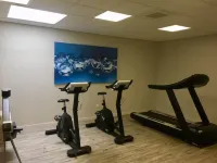 Relais St Eloi, Sure Hotel Collection by Best Western - ジム