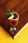 Loharano Lodge - bar