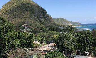 Scarlett Guesthouse Hotel Resorts