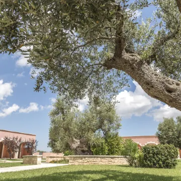Hotel Relais Antica Masseria