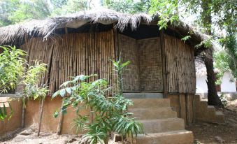 Daltons Banana Guesthouse