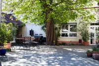 Hotel Herberge Zur Traube Hotels in Bad Wimpfen