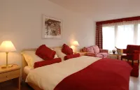 Chalet-Hotel Beau-Site - balcony