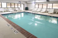 Comfort Inn & Suites Near Medical Center - piscina