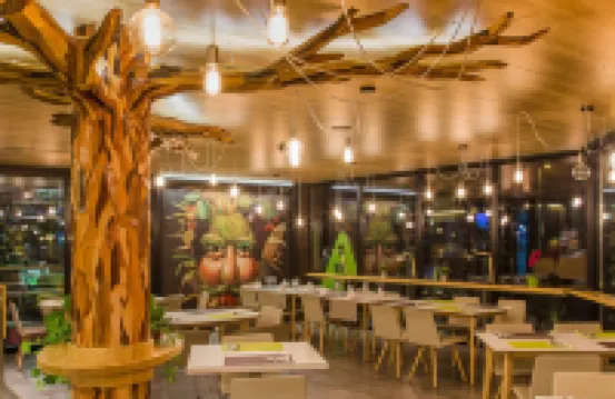 Alojamientos Ainsa Sanchez