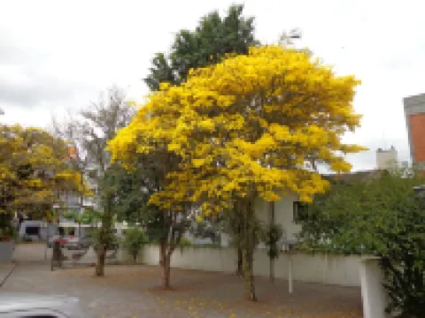 Hotel Steinhausen Hotels in Blumenau