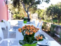 Miss Sicily B&B Hotel a Terrasini