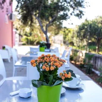 Miss Sicily B&B