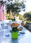 Miss Sicily B&B