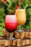Villa Maya - bar