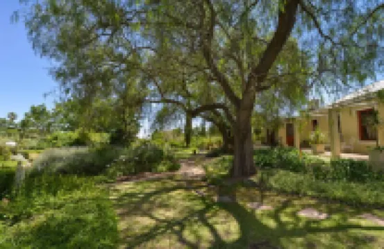 Darling Lodge Guest House Hotels in Malmesbury