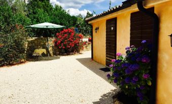 B&B 8380 Saturnia Terme