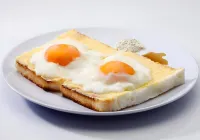 グリーン ランド ホテル ラホール - ペット同伴可