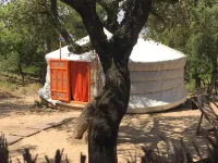 太陽蒙古酒店 索雷德酒店