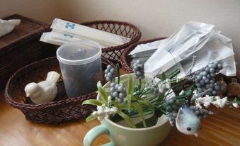 Japanese Style Pension Kotorinoki