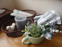 Japanese Style Pension Kotorinoki