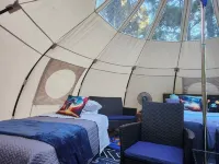 Milky Way with AC and WiFi, glamping near Houston
