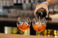 Hôtel Parc du Landreau - bar