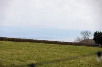 Willows Rest - 1 Bed Shepherds Hut - Pentlepoir Hotels in East Williamston