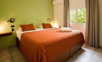 Dream of the Green Flamingo