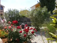 Family-friendly apartment Lilly with trampoline, air conditioning, wifi, up to 5 people