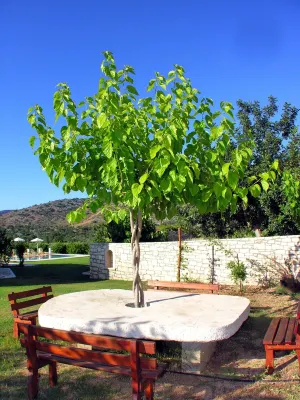 Luxurious villa with huge garden & private Heated pool in paradise environment Hotels in Mylopotamos